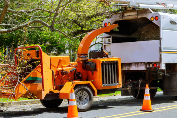 Harriman, NY Tree Removal and Landscaping Services Company